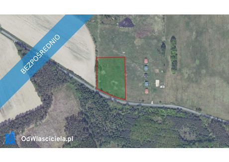 Działka na sprzedaż - Niwiska, Zielonogórski, 10 091 m², 328 058 PLN, NET-30343