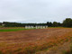 Rolny na sprzedaż - Bestwina, Bielski, 2500 m², 125 000 PLN, NET-BBN-GS-17636-26