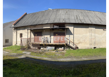 Magazyn na sprzedaż - Pogórze, Skoczów, Cieszyński, 600 m², 649 000 PLN, NET-BBN-HS-19419-9