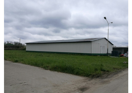 Komercyjne do wynajęcia - Główna Psary, Wisznia Mała, Trzebnicki, 150 m², 3000 PLN, NET-829726