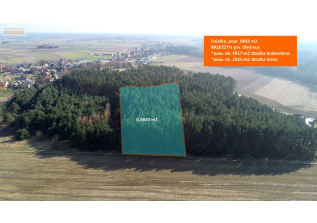 Działka na sprzedaż - Krzeczyn, Oleśnica, Oleśnicki, 6843 m², 417 000 PLN, NET-BER-GS-3756