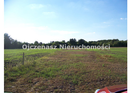 Działka na sprzedaż - Dziemionna, Nowa Wieś Wielka, Bydgoski, 50 000 m², 235 000 PLN, NET-OJN-GS-122139