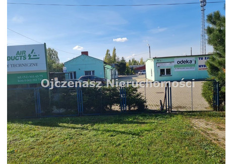 Komercyjne do wynajęcia - Centrum, Żnin, Żniński, 4170 m², 16 000 PLN, NET-OJN-LW-121578