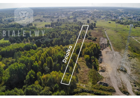 Działka na sprzedaż - Rzeczna Nadma, Radzymin, Wołomiński, 4500 m², 180 000 PLN, NET-BLN838167