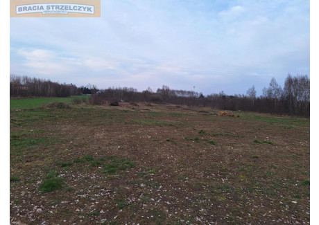 Działka na sprzedaż - Ciechanów, Ciechanowski, 39 368 m², 3 400 000 PLN, NET-176/9046/OGS