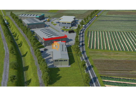 Komercyjne na sprzedaż - Kozów, Złotoryja, Złotoryjski, 1000 m², 6 000 000 PLN, NET-237/6038/OOS