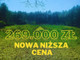 Działka na sprzedaż - Wełmin, Strzelce Krajeńskie, Strzelecko-Drezdenecki, 5001 m², 269 000 PLN, NET-923/2639/OGS