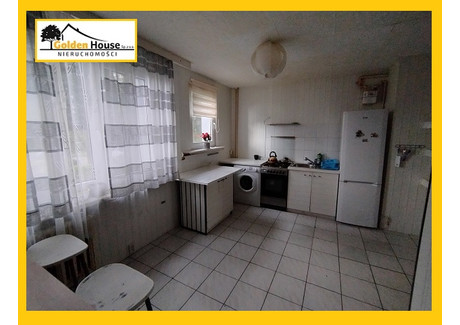 Mieszkanie do wynajęcia - Bohaterów Monte Cassino Zagórze, Sosnowiec, 50 m², 1800 PLN, NET-4776