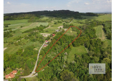 Działka na sprzedaż - Świecie, Leśna, Lubański, 25 400 m², 295 000 PLN, NET-4592