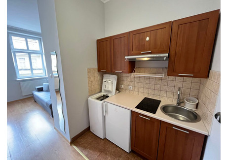 Mieszkanie do wynajęcia - Limanowskiego Łazarz, Grunwald, Poznań, 25 m², 1400 PLN, NET-8860337