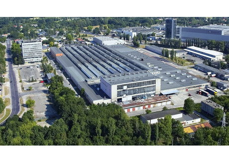 Magazyn, hala do wynajęcia - Wersalska Teofilów, Bałuty, Łódź, 4000 m², 78 000 PLN, NET-17623374