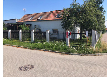 Lokal usługowy do wynajęcia - pionierów Malbork, Malborski (pow.), 200 m², 4900 PLN, NET-33