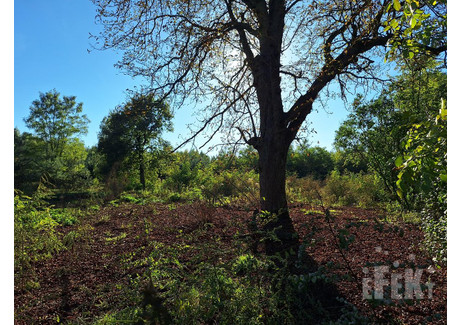 Działka na sprzedaż - Budy-Strzyże, Mszczonów, Żyrardowski, 1700 m², 190 000 PLN, NET-243