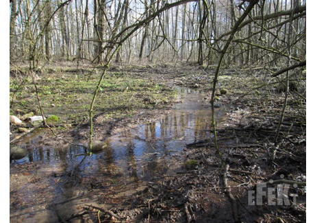 Działka na sprzedaż - Stary Łajszczew, Puszcza Mariańska, Żyrardowski, 9740 m², 200 000 PLN, NET-273