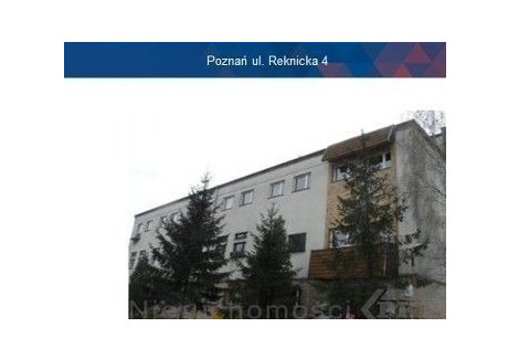 Lokal do wynajęcia - Reknicka Poznań, 1850 m², 30 000 PLN, NET-17456811