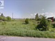 Rolny do wynajęcia - Kopernika Lubomino, Lubomino (Gm.), Lidzbarski (Pow.), 390 m², 117 PLN, NET-17203115