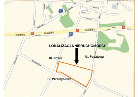Działka na sprzedaż - Sowia Tarnowo Podgórne, Poznański, 128 900 m², 15 468 000 PLN, NET-75/4142/OGS