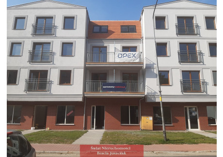 Lokal na sprzedaż - Trzebnica, Trzebnicki, 64,57 m², 413 248 PLN, NET-1032/3265/OLS