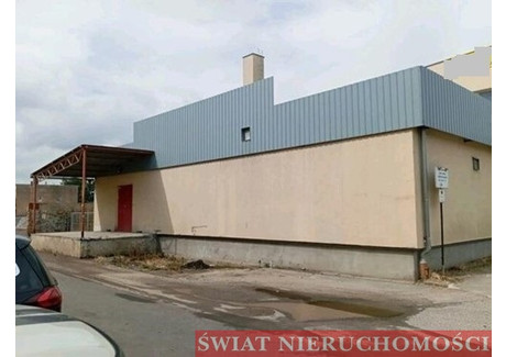 Lokal do wynajęcia - Strzelin, Strzeliński, 940 m², 20 000 PLN, NET-2111/3265/OLW