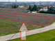 Budowlany na sprzedaż - Rolna Kościan, Kościański (Pow.), 1500 m², 315 000 PLN, NET-166