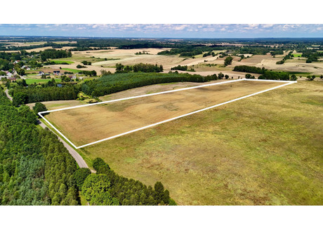 Działka na sprzedaż - Linowno, Drawsko Pomorskie (Gm.), Drawski (Pow.), 61 000 m², 379 999 PLN, NET-24084915