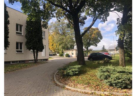 Biuro do wynajęcia - Niegoszowice, Zabierzów, Krakowski, 125 m², 2125 PLN, NET-255/5698/OLW