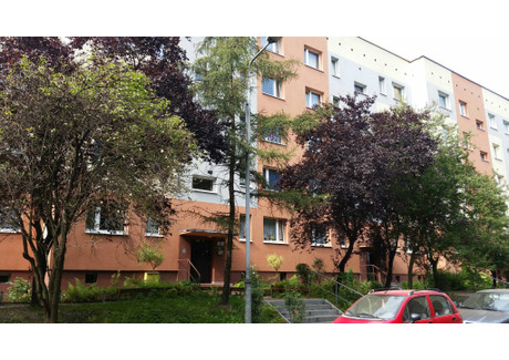 Mieszkanie do wynajęcia - Wiązowa Koszutka, Katowice, 51,5 m², 2000 PLN, NET-19018660