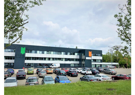 Biuro do wynajęcia - Toruńska Zimne Wody, Czersko Polskie, Bydgoszcz, 129,91 m², 3800 PLN, NET-3