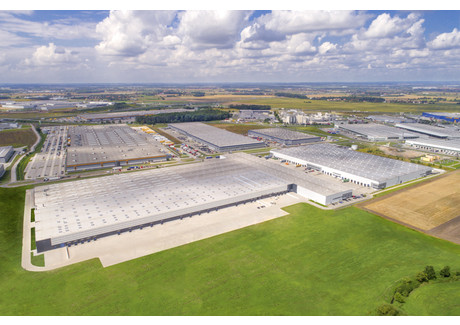 Magazyn, hala do wynajęcia - Logistyczna Bielany Wrocławskie, Kobierzyce, Wrocławski, 7864 m², 95 941 PLN, NET-18/6281/OOW