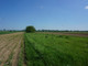 Rolny na sprzedaż - Łęg Konstancin-Jeziorna, Konstancin-Jeziorna (gm.), Piaseczyński (pow.), 4100 m², 143 500 PLN, NET-2861