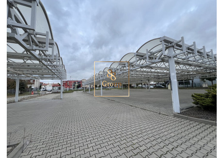 Działka do wynajęcia - Ożarów Mazowiecki, Warszawski Zachodni, 4500 m², 45 000 PLN, NET-1/16954/OGW