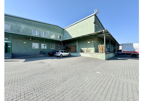 Magazyn do wynajęcia - Poznańska Ożarów Mazowiecki, Warszawski Zachodni, 4750 m², 75 000 PLN, NET-88G536170