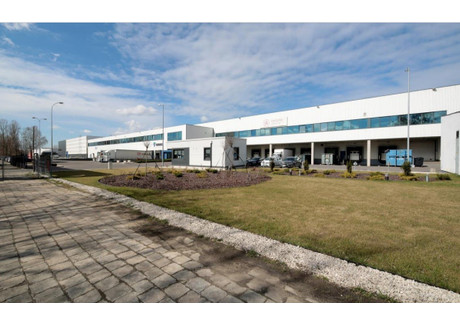 Magazyn do wynajęcia - Targówek, Warszawa, 5408 m², 108 160 PLN, NET-88G381883