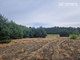 Rolny na sprzedaż - Władysławowo, Łabiszyn, Żniński, 3000 m², 216 000 PLN, NET-1489/14580/OGS
