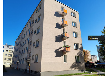 Mieszkanie do wynajęcia - Centrum, Ełk, Ełcki, 23,74 m², 1100 PLN, NET-MKW-MW-1519