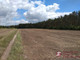 Rolny na sprzedaż - Joniec, Płoński, 14 729 m², 471 328 PLN, NET-455/2522/OGS