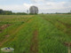 Rolny na sprzedaż - Lubasz, Szczucin, Dąbrowski, 5600 m², 25 000 PLN, NET-JSN-GS-2860