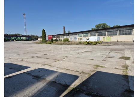 Działka na sprzedaż - Lubiejewska Ostrów Mazowiecka, Ostrowski, 5257 m², 2 102 800 PLN, NET-195/11864/OGS