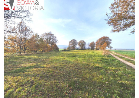 Działka na sprzedaż - Górczyca, Lwówek Śląski, Lwówecki, 1700 m², 144 500 PLN, NET-690/14328/OGS