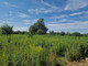 Rolny na sprzedaż - Chrząstawa Mała, Czernica, Wrocławski, 62 000 m², 2 418 000 PLN, NET-175630345