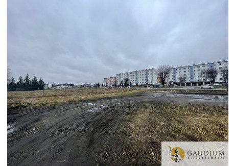 Działka do wynajęcia - Zielona Starogard Gdański, Starogardzki, 5911 m², 6500 PLN, NET-9/8402/OGW