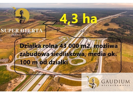 Działka na sprzedaż - Woźniki, Lubliniecki, 43 000 m², 590 000 PLN, NET-151/8402/OGS