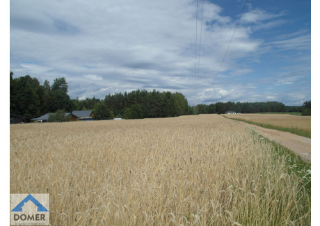 Działka na sprzedaż - Kuriany, Zabłudów (gm.), Białostocki (pow.), 17 200 m², 430 000 PLN, NET-229