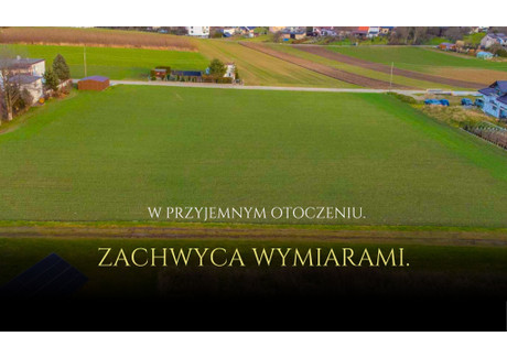 Działka na sprzedaż - Grunwaldzka Borucin, Krzanowice (gm.), Raciborski (pow.), 4500 m², 249 000 PLN, NET-386