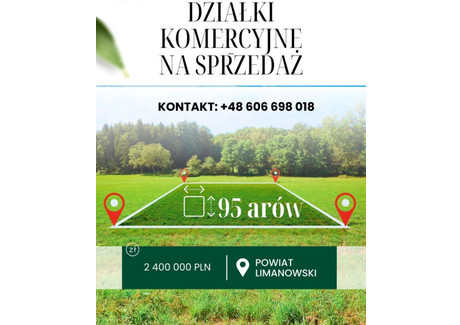 Działka na sprzedaż - Limanowa, Limanowski, 9500 m², 2 400 000 PLN, NET-788819