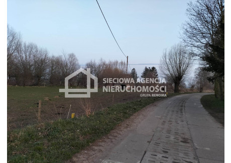 Działka na sprzedaż - Chorążówka, Stegna, Nowodworski, 5000 m², 350 000 PLN, NET-DJ289420