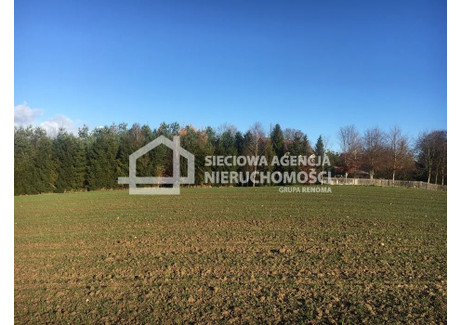 Działka na sprzedaż - Czarna Dąbrówka, Bytowski, 10 000 m², 450 000 PLN, NET-DJ449671