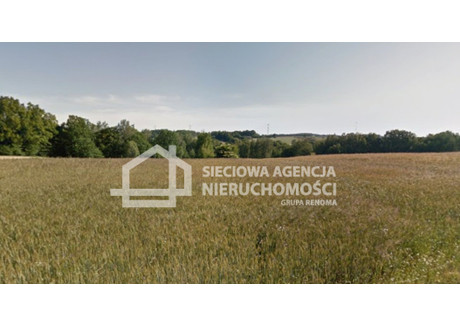 Działka na sprzedaż - Bursztynik, Kczewo, Przodkowo, Kartuski, 1000 m², 179 000 PLN, NET-DJ997823