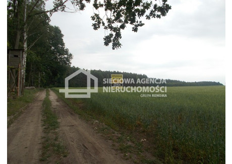 Działka na sprzedaż - Mszano, Lniano, Świecki, 41 960 m², 350 000 PLN, NET-DJ359810