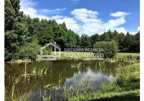 Działka na sprzedaż - Łebno, Szemud, Wejherowski, 81 414 m², 2 190 000 PLN, NET-DJ212945